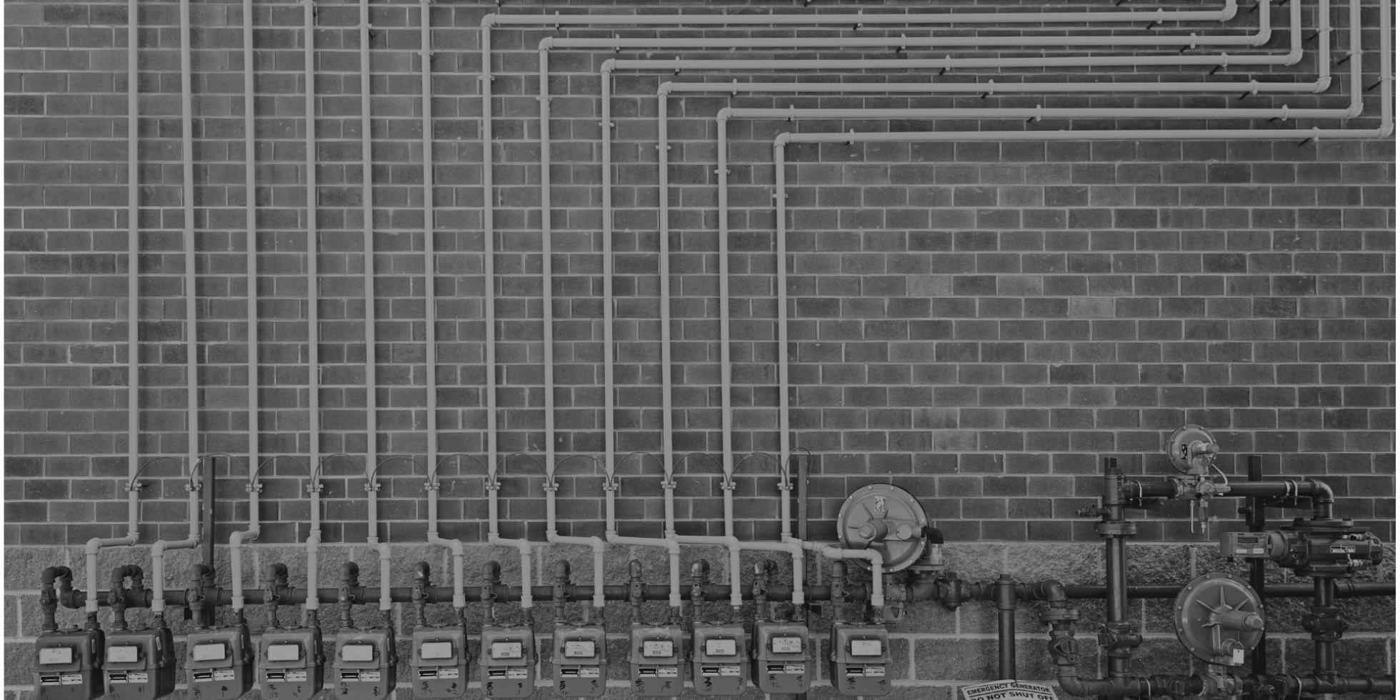 PPM Blog Feature (1)